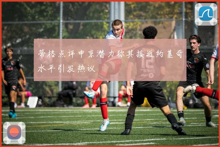 蒂格点评申京潜力称其接近约基奇水平引发热议